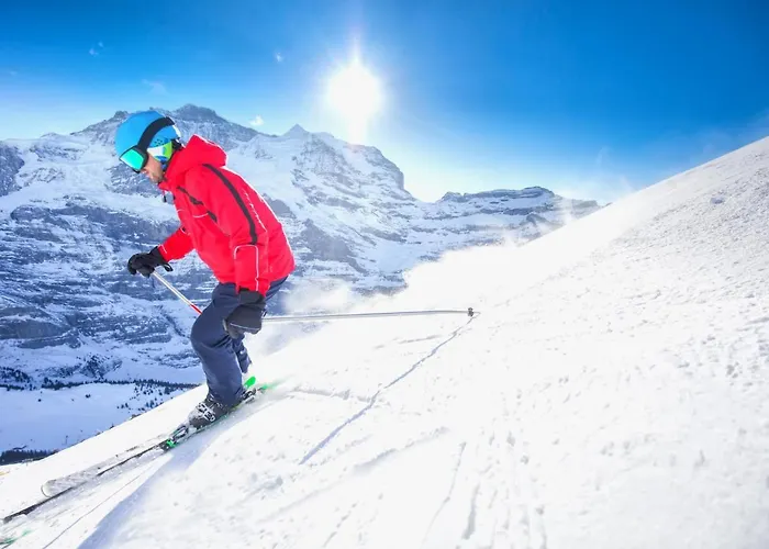 公寓 Allod Park Haus C 106 By Interhome